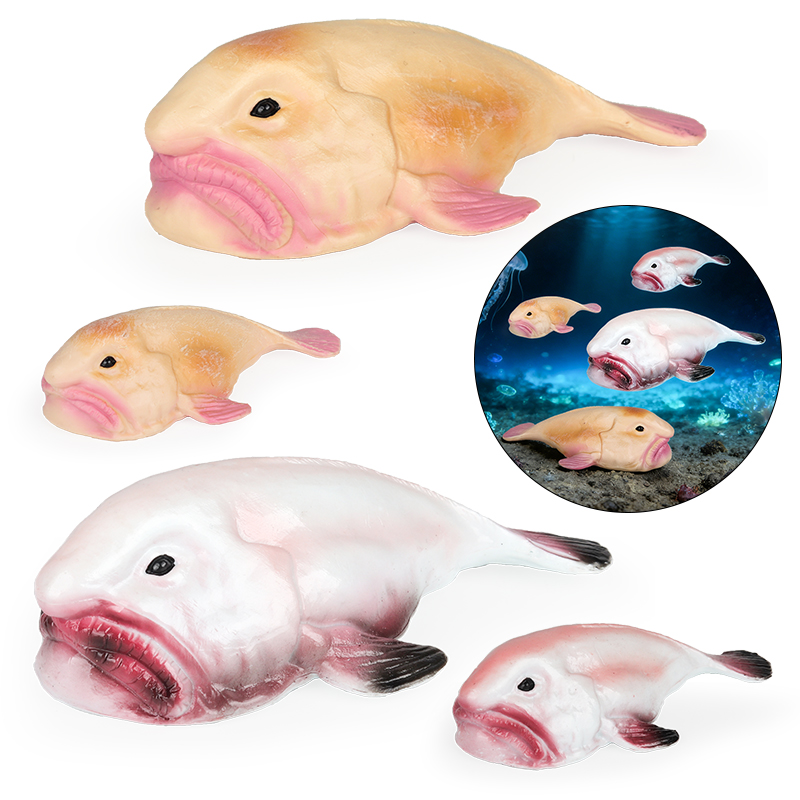 Oenux Australia Deep-Sea Fish  - Kids Education In Australia 评论和价格