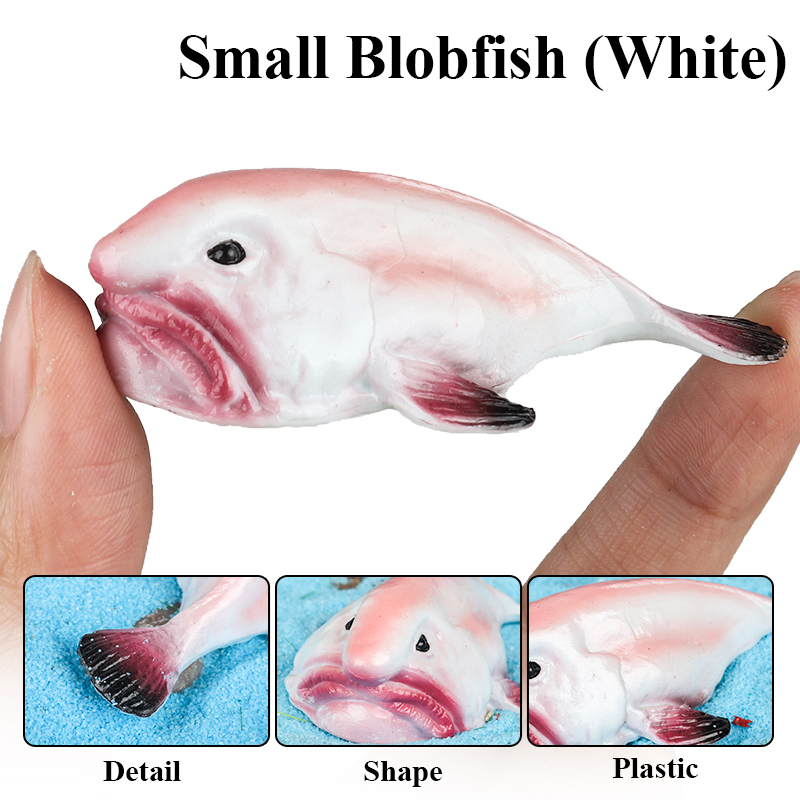 Oenux Australia Deep-Sea Fish  - Kids Education In Australia 评论和价格