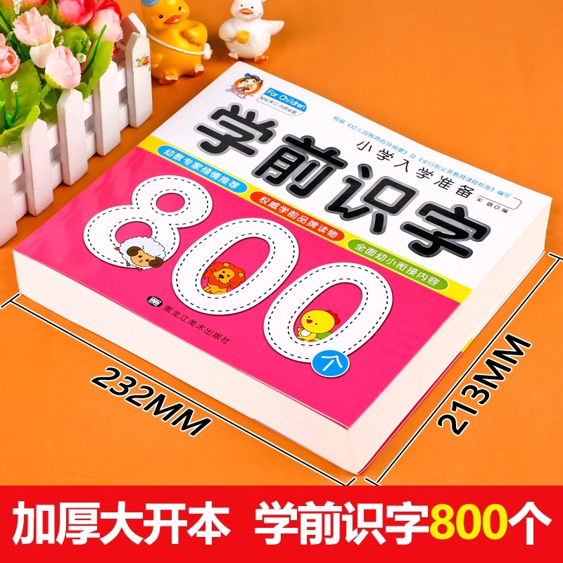 Preschool Literacy: 800 Chines - Kid Education 评论和价格