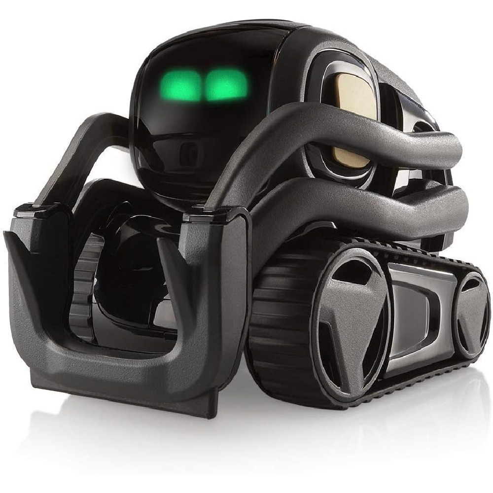 AI ChatGPT 2.0 Connected Robot - Kid Education 评论和价格