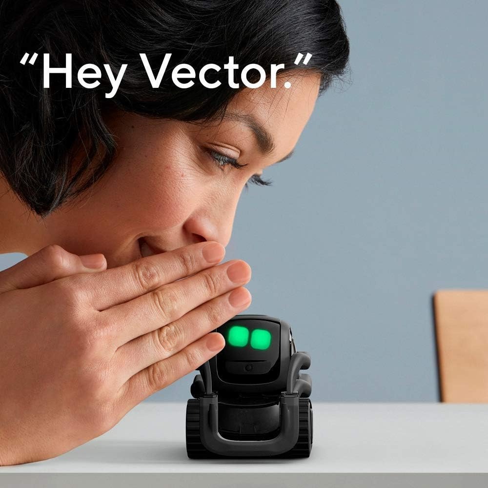 AI ChatGPT 2.0 Connected Robot - Kid Education 评论和价格
