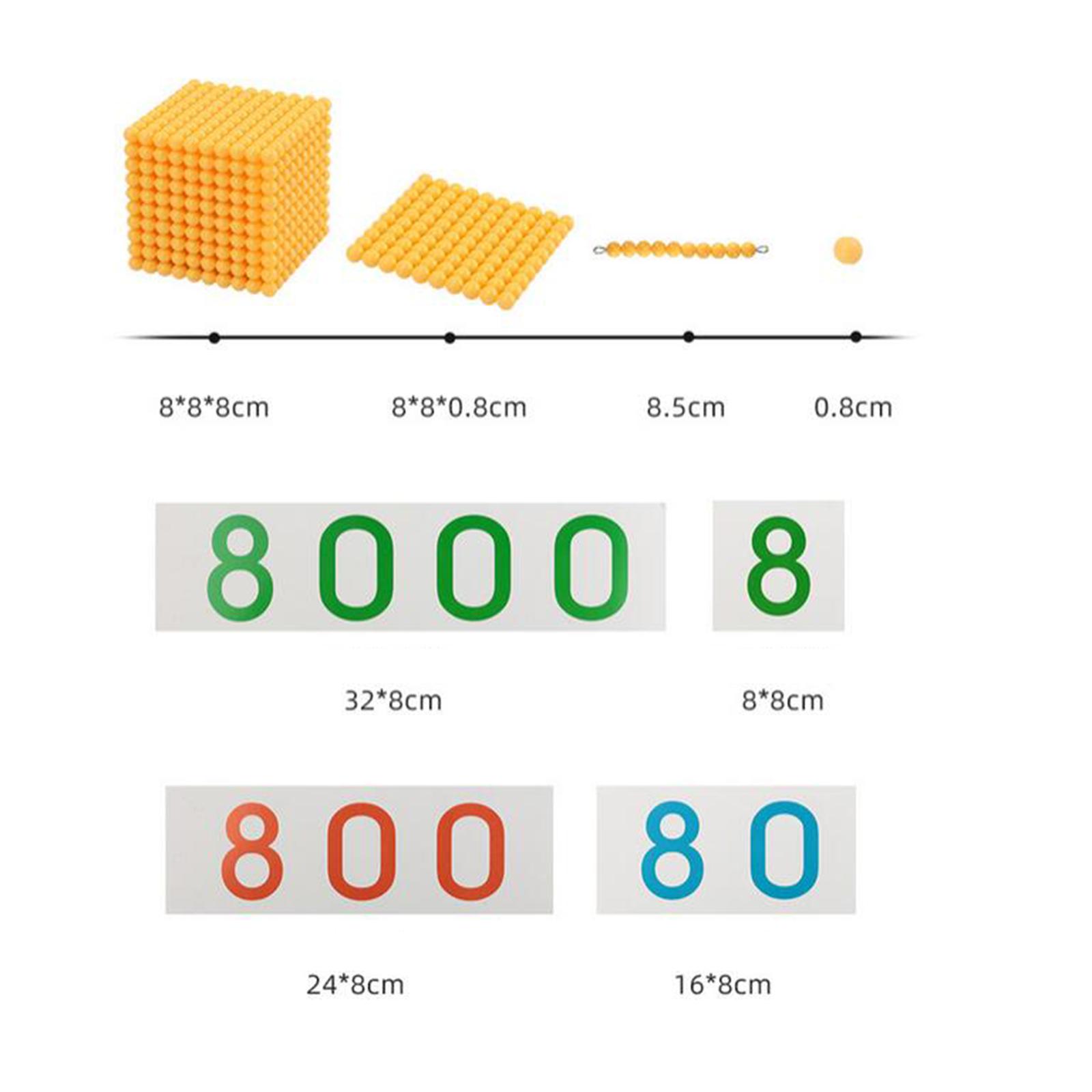 Montessori Bead Material Set M - Math Manipulative Set 评论和价格
